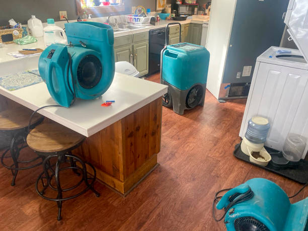 Best Flooded house restoration  in Palmetto Bay, FL